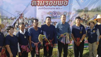 โครงการลงแขกเกี่ยวชาวประชาร่วมใจ ตามรอยพ่อ ประจำปีงบประมาณ พ.ศ.2567